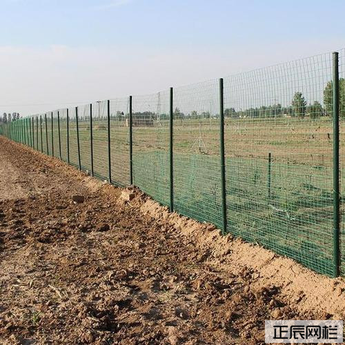 30米養雞護欄網60元一卷