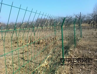 鐵絲網(wǎng)護(hù)欄網(wǎng)廠家