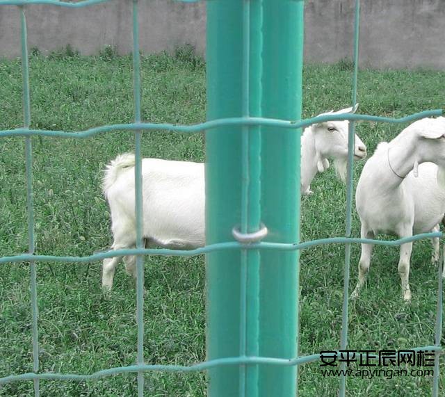 養羊圍欄網較便宜多少錢一米