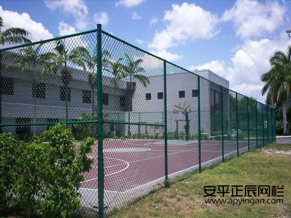 運動場圍網