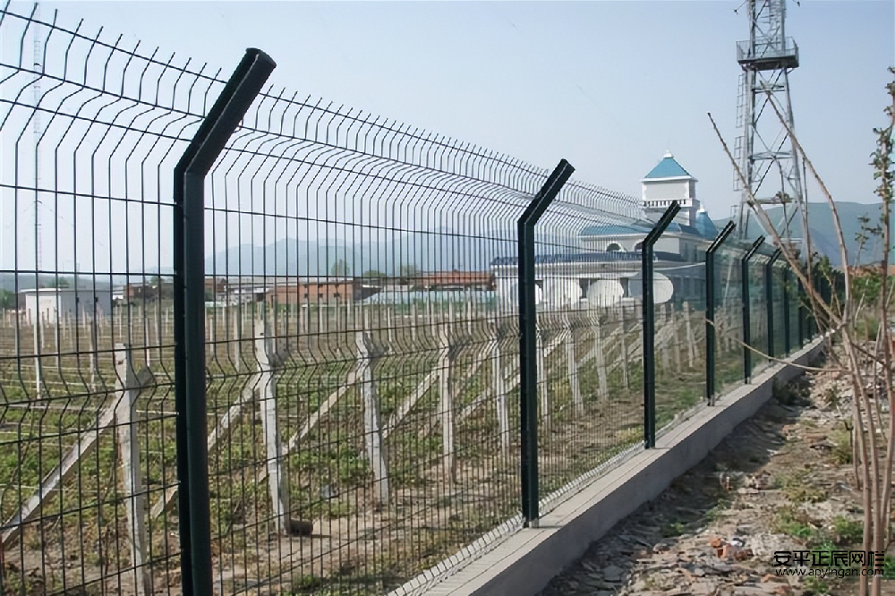 鐵絲圍墻網(wǎng)