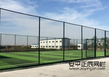 球場專用圍欄網(wǎng)廠家