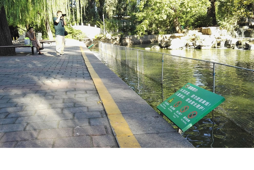 動物園隔離網(wǎng)