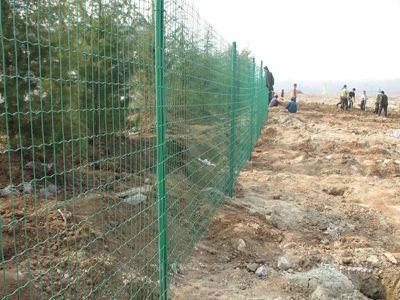 養(yǎng)殖護欄網(wǎng)