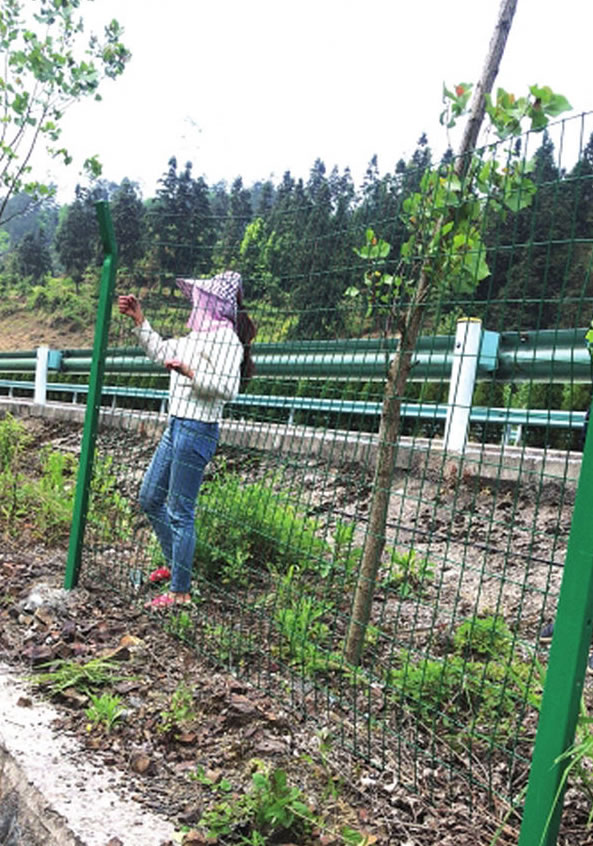 高速護(hù)欄網(wǎng)