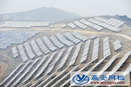 光伏電站圍欄網(wǎng)