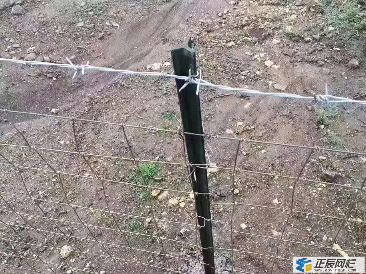 牛欄網(wǎng)立柱