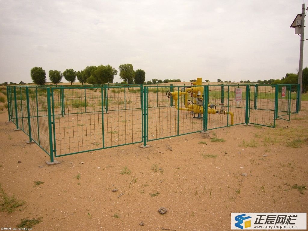 綠色隔離網圖片