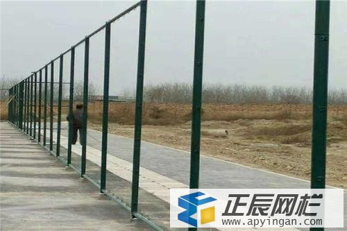 籃球場(chǎng)護(hù)欄網(wǎng)