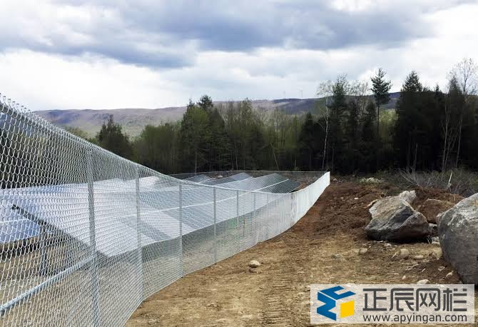 勾花護(hù)欄網(wǎng)