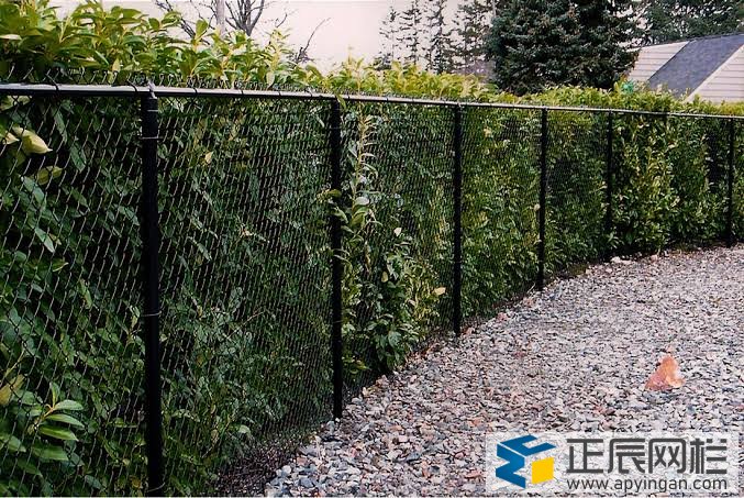 勾花護(hù)欄網(wǎng)