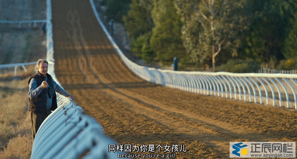 馬場(chǎng)護(hù)欄