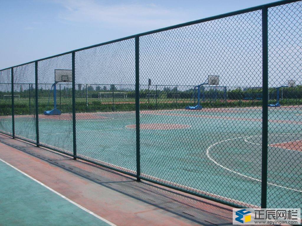 籃球場圍網效果圖