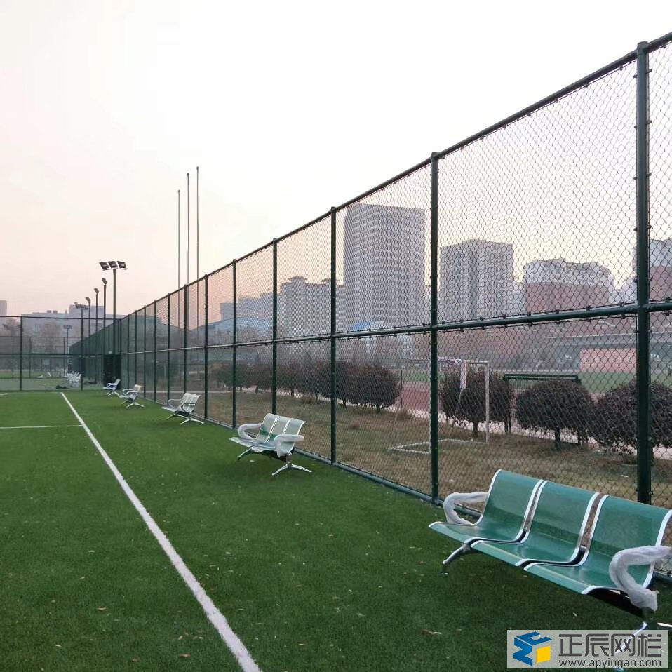 籃球場圍網效果圖