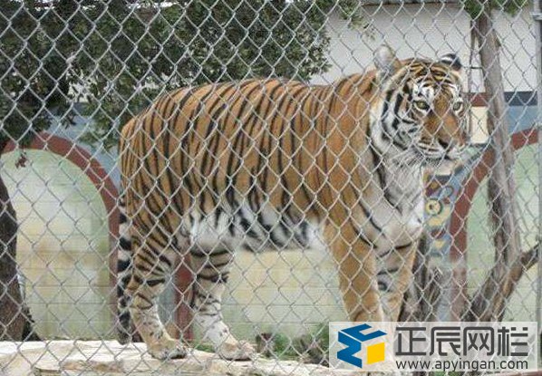 老虎護欄勾花網