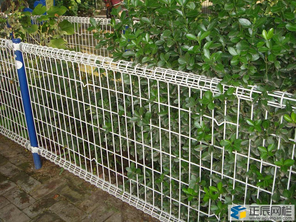 小區(qū)花園護(hù)欄網(wǎng)圖片
