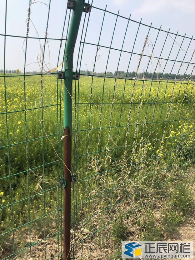 護欄網表皮脫落