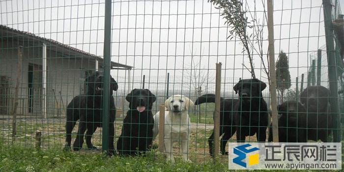 養殖護欄網哪家好