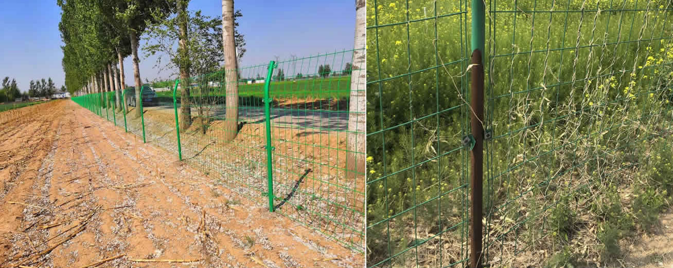 籃球場圍網(wǎng)廠家