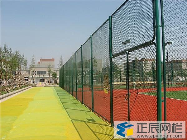 球場框架護欄網(wǎng)圖片