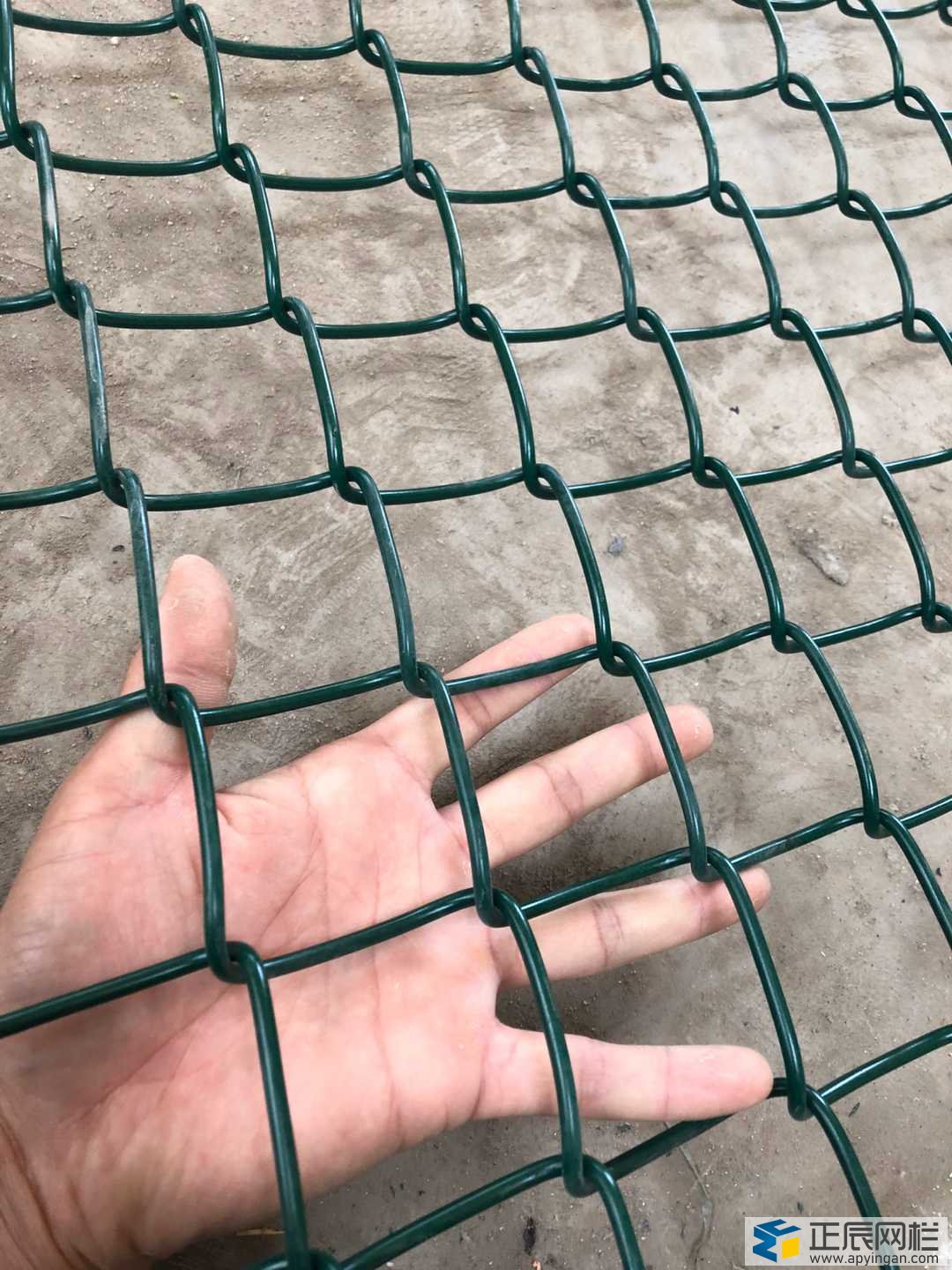 籃球場圍欄網絲經