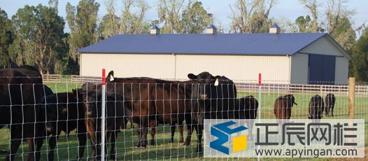 養牛護欄