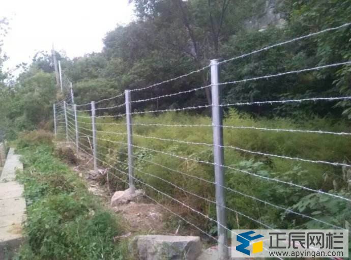 高速公路護(hù)欄網(wǎng)圖紙圖片