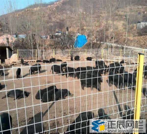 養(yǎng)殖護(hù)欄網(wǎng)