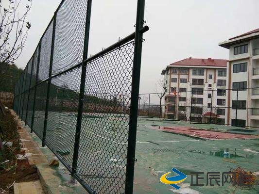 專業的球場圍欄網廠家