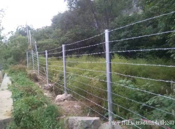 邊防護欄網(wǎng)